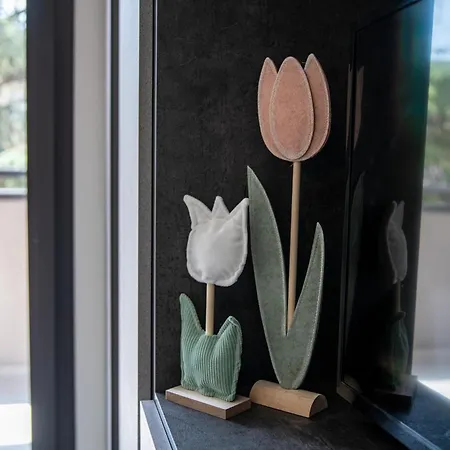 Il Tulipano شقة